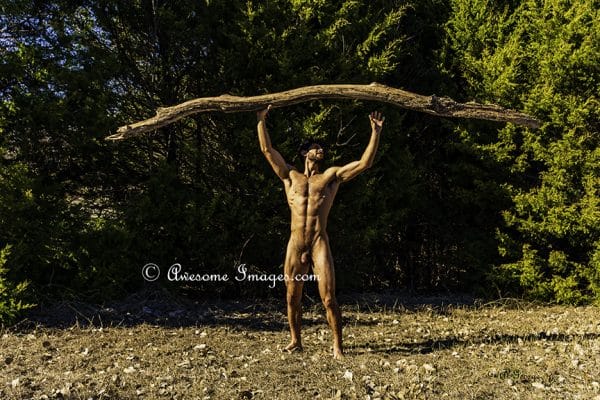TREYTON – IN THE CEDARS -  Image 07