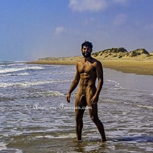 TREYTON – SOUTH PADRE ISLAND BEACH - Image 11