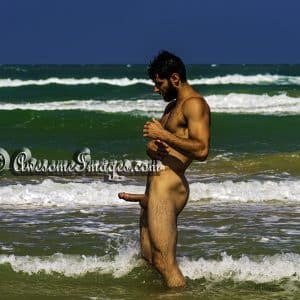 TREYTON – SOUTH PADRE ISLAND BEACH - Image 21