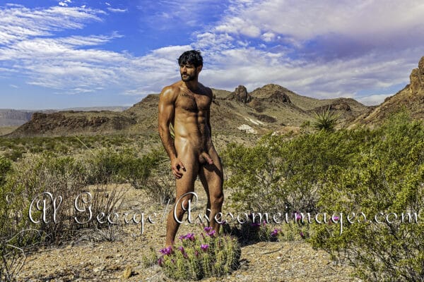 TREYTON – BIG BEN -  Image 30