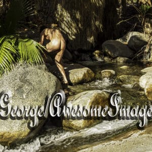 JR EXPLORES PALM CANYON, CA - IMAGE 5