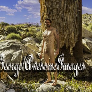 JR EXPLORES PALM CANYON, CA - IMAGE 14