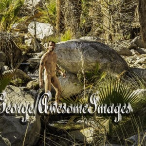 JR EXPLORES PALM CANYON, CA - IMAGE 22