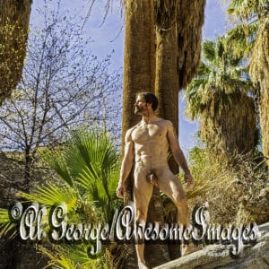 JR EXPLORES PALM CANYON, CA - IMAGE 25