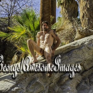 JR EXPLORES PALM CANYON, CA - IMAGE 26