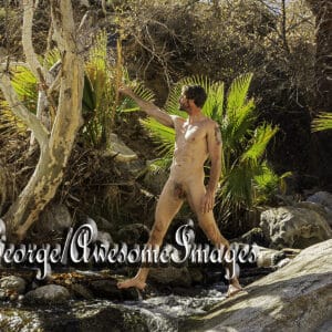 JR EXPLORES PALM CANYON, CA - IMAGE 31