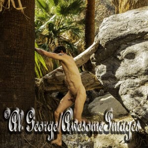 JR EXPLORES PALM CANYON, CA - IMAGE 38