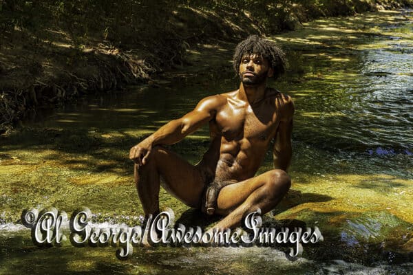 TONY GENIUS - AT THE CREEK -  IMAGE 60