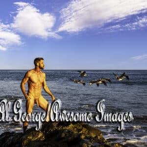 JOHNNY F. AT EL PESCADOR BEACH AT SUNSET - IMAGE - 46