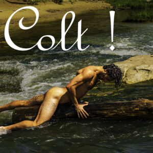 PHOTOBOOK #2 – “COLT!”