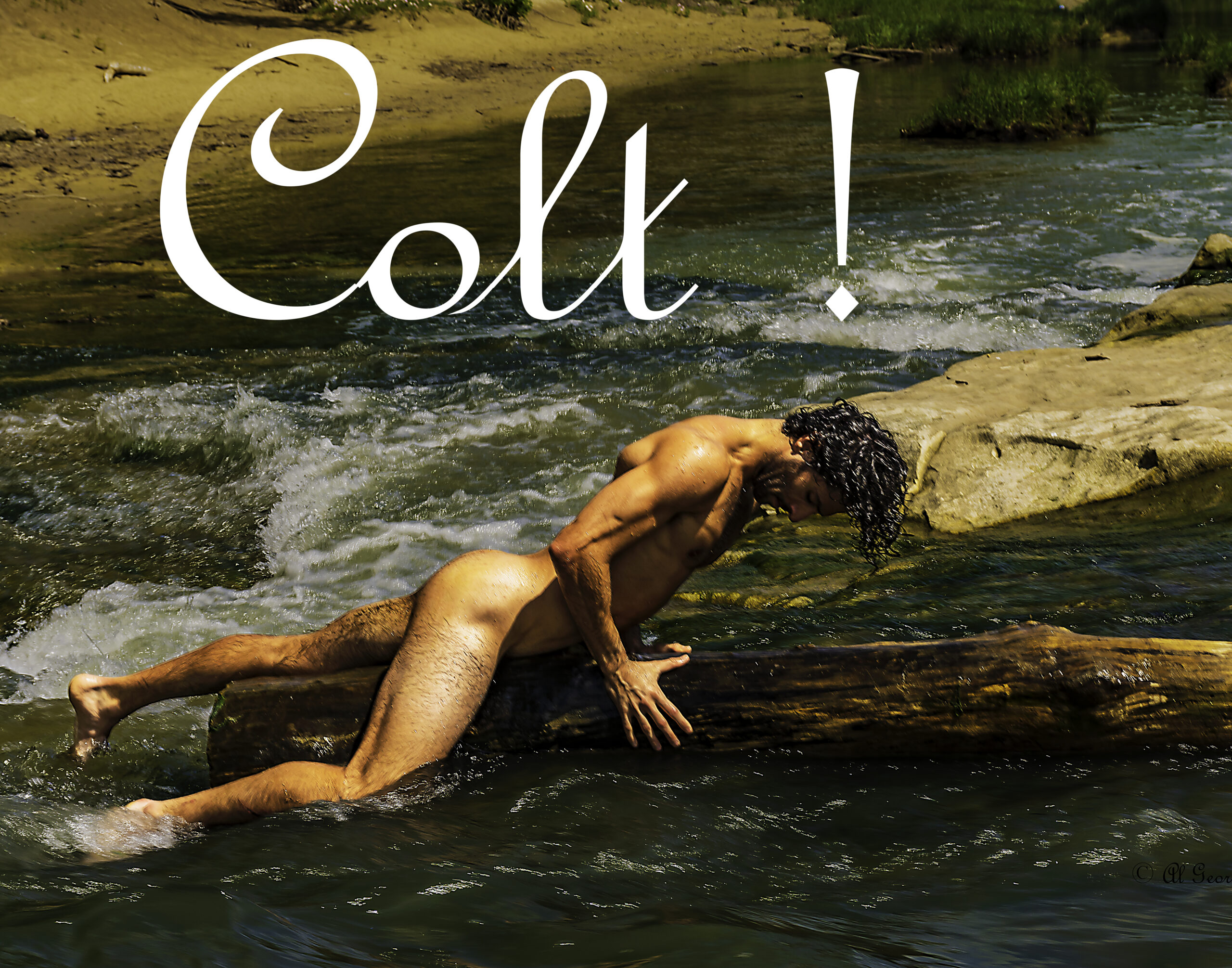 PHOTOBOOK #2 – “COLT!”