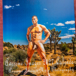 AWESOME IMAGES 2027 CALENDAR